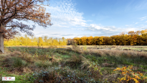 Slotplaats Bakkeveen