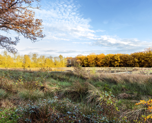Slotplaats Bakkeveen