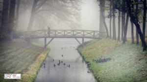 Stadspark Old Ruitenborgh Walking the dog