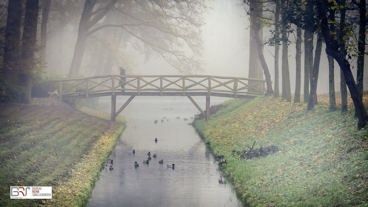 Stadspark Old Ruitenborgh Walking the dog