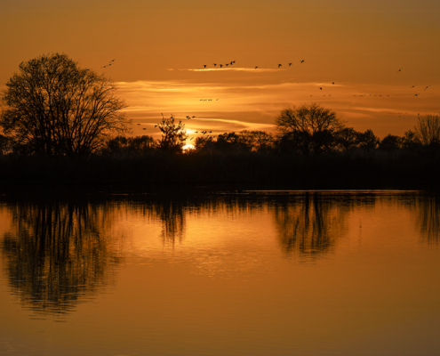Zonsondergang Wildervank