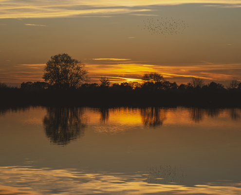 Zonsondergang Wildervank met Spreeuwen