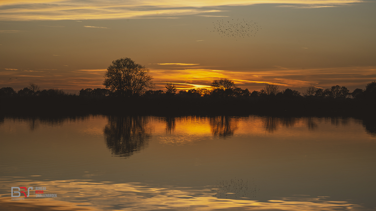 Zonsondergang Wildervank met Spreeuwen