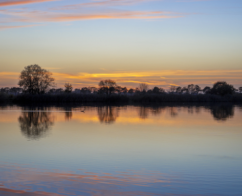 zonsondergang Wildervank met Fuut