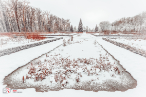 Rozentuin in de winter Leek
