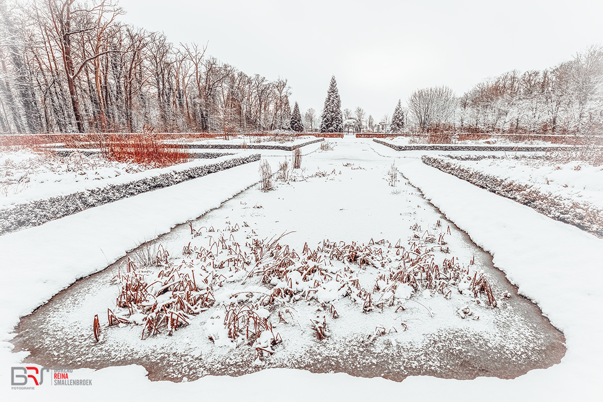 Rozentuin in de winter Leek