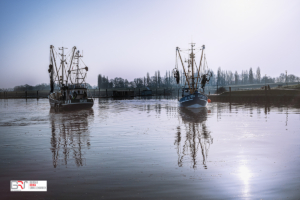 VIssersschepen Greetsiel