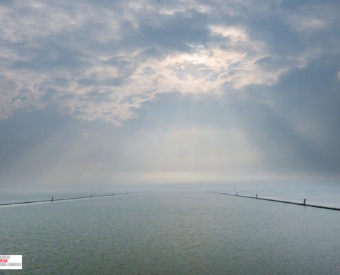 varen in het natuurgebied Leyhorn