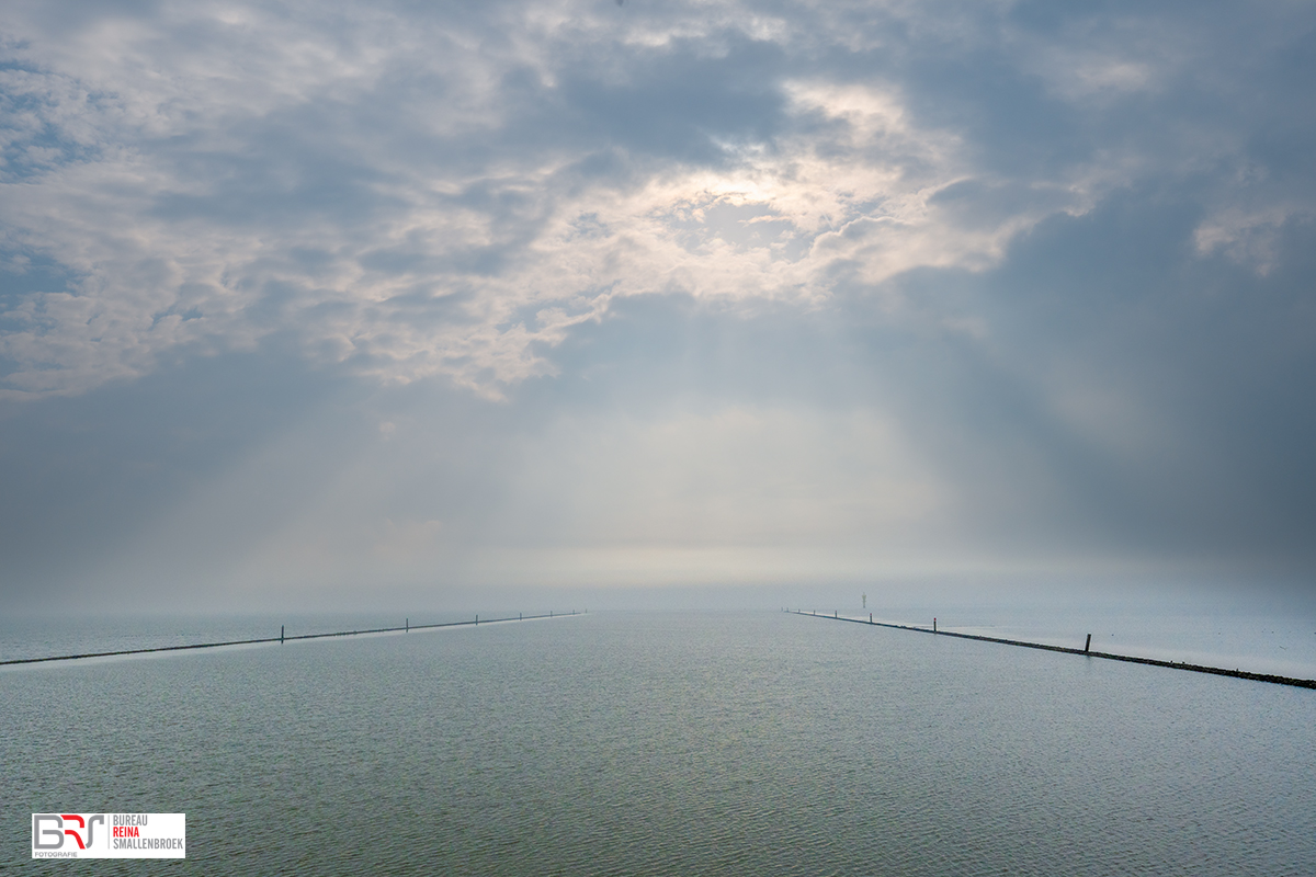 varen in het natuurgebied Leyhorn