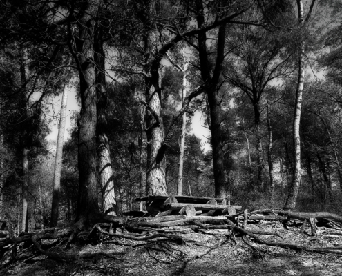 Lutterzand Twente