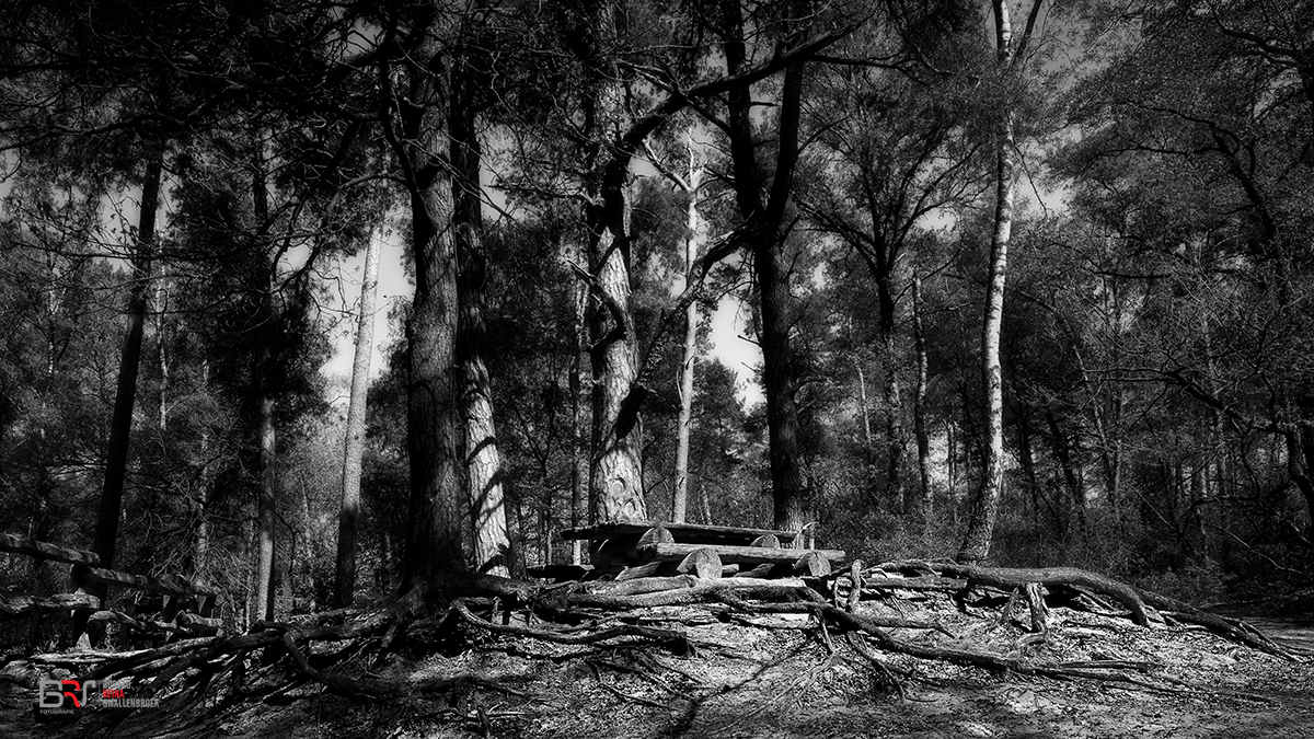 Lutterzand Twente