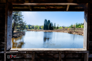 Haarplas Room with a view