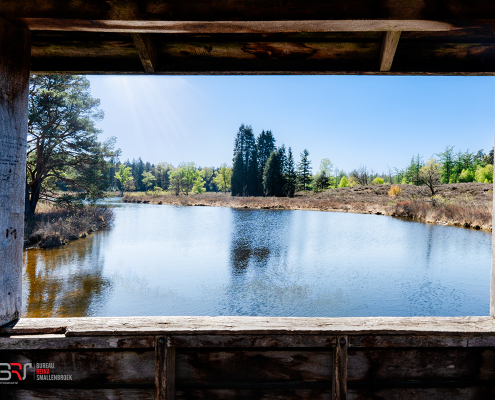 Haarplas Room with a view