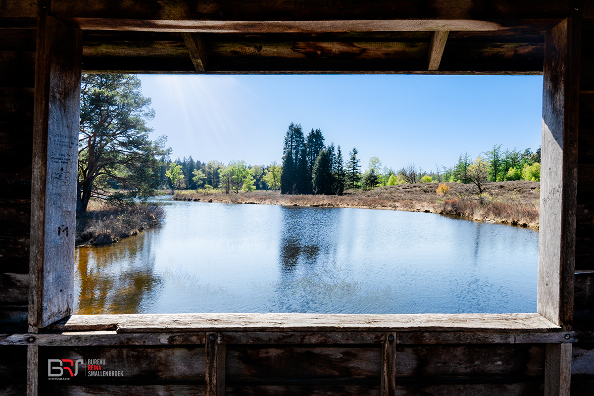 Haarplas Room with a view