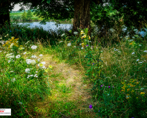 Bloemenzee bij Fort Kijkuit Kortenhoef