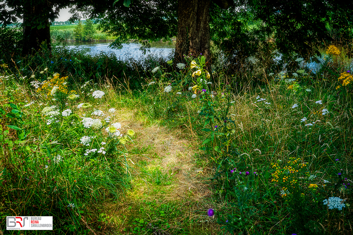 Bloemenzee bij Fort Kijkuit Kortenhoef