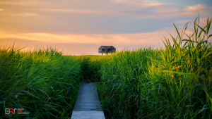 De Kiekkaaste Nieuw Statenzijl