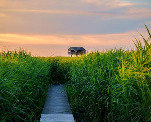 De Kiekkaaste Nieuw Statenzijl