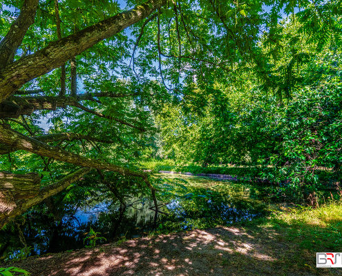 Groen in Het Engelse Werk Zwolle