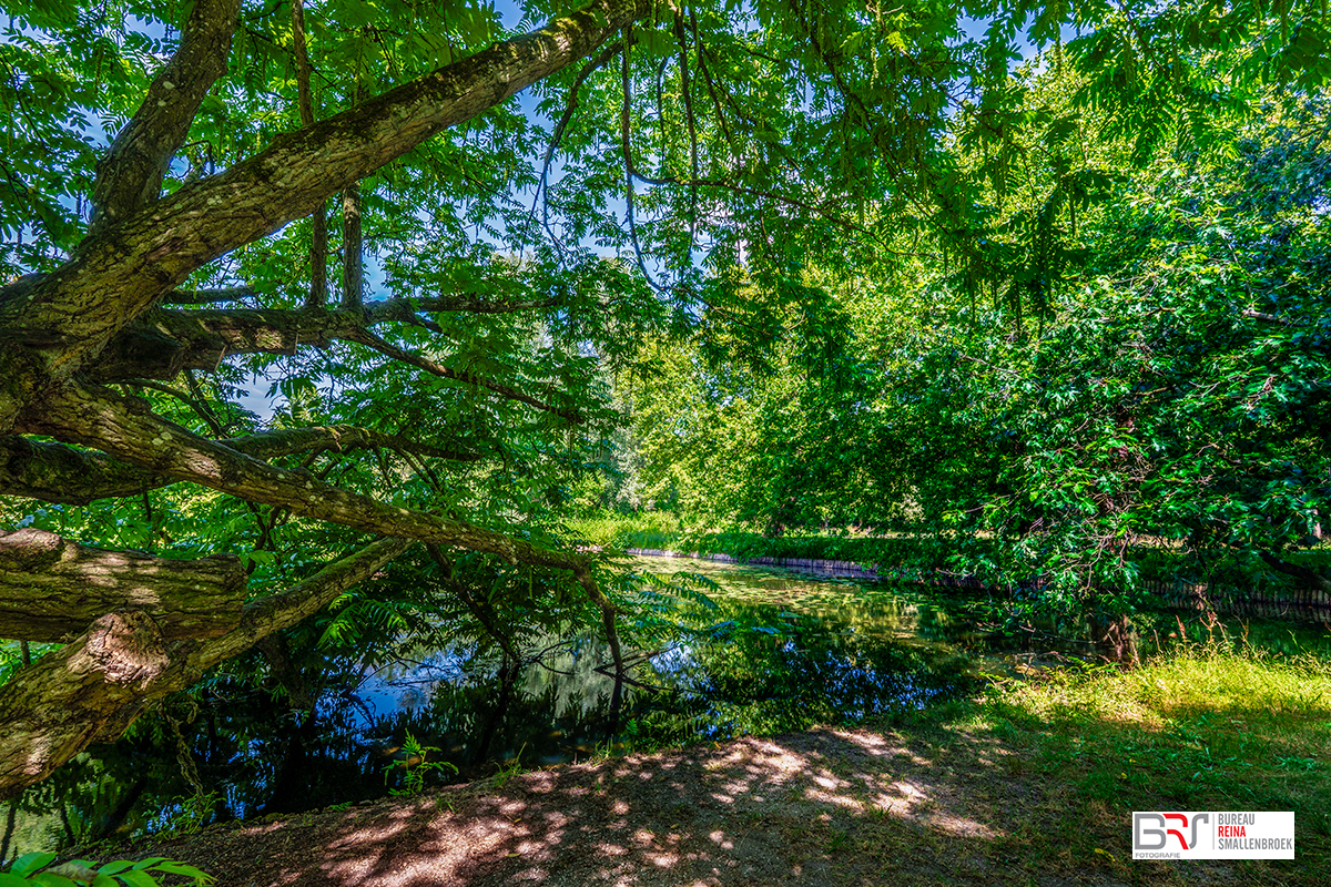 Groen in Het Engelse Werk Zwolle